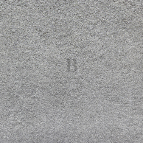 BB 20127 close up