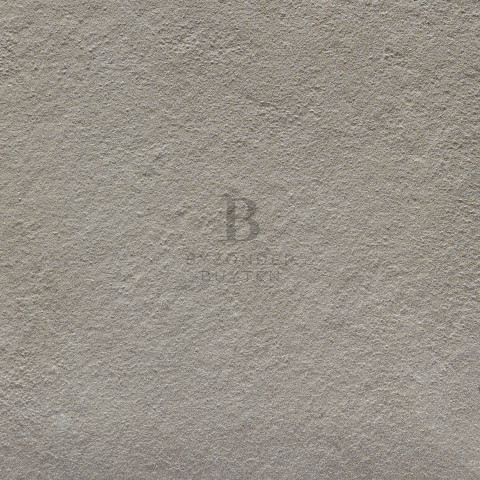 BB 20131 close up