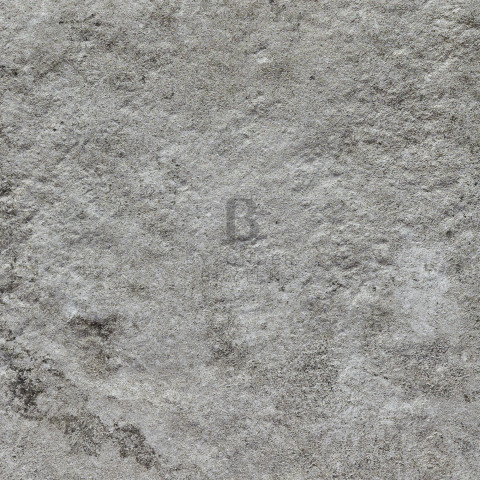 BB 20132 close up