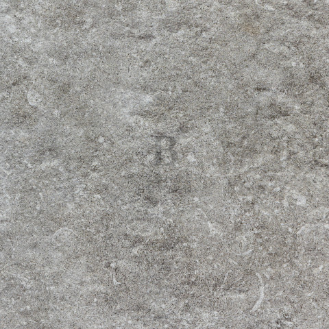 BB 20136 close up