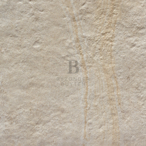 BB 20137 close up
