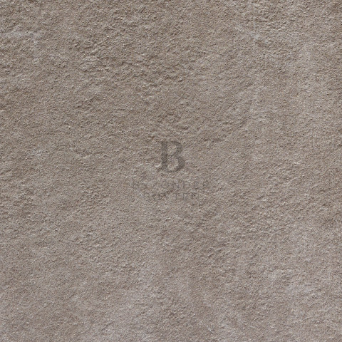 BB 20146 close up