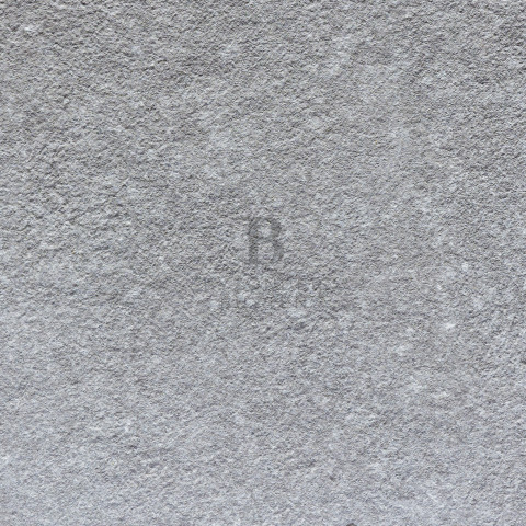BB 20158 close up