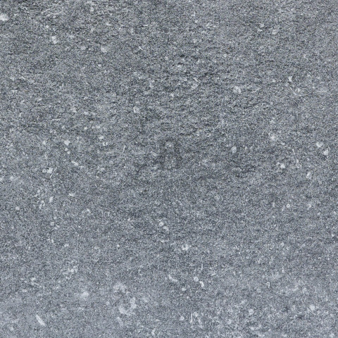BB 20161 close up