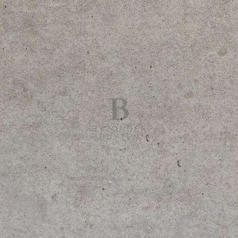 BB 20173 close up