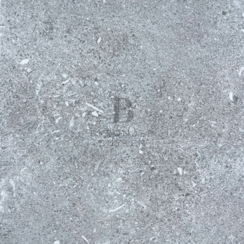 BB 20193 close up