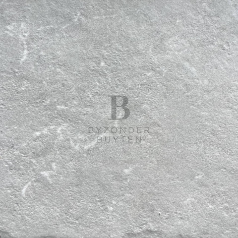 BB 20234 close up