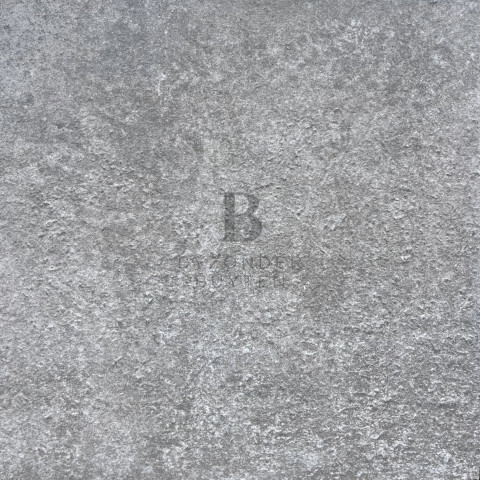 BB 20236 close up