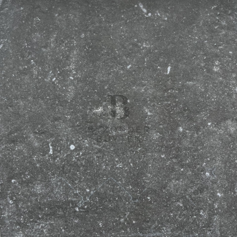BB 20237 close up