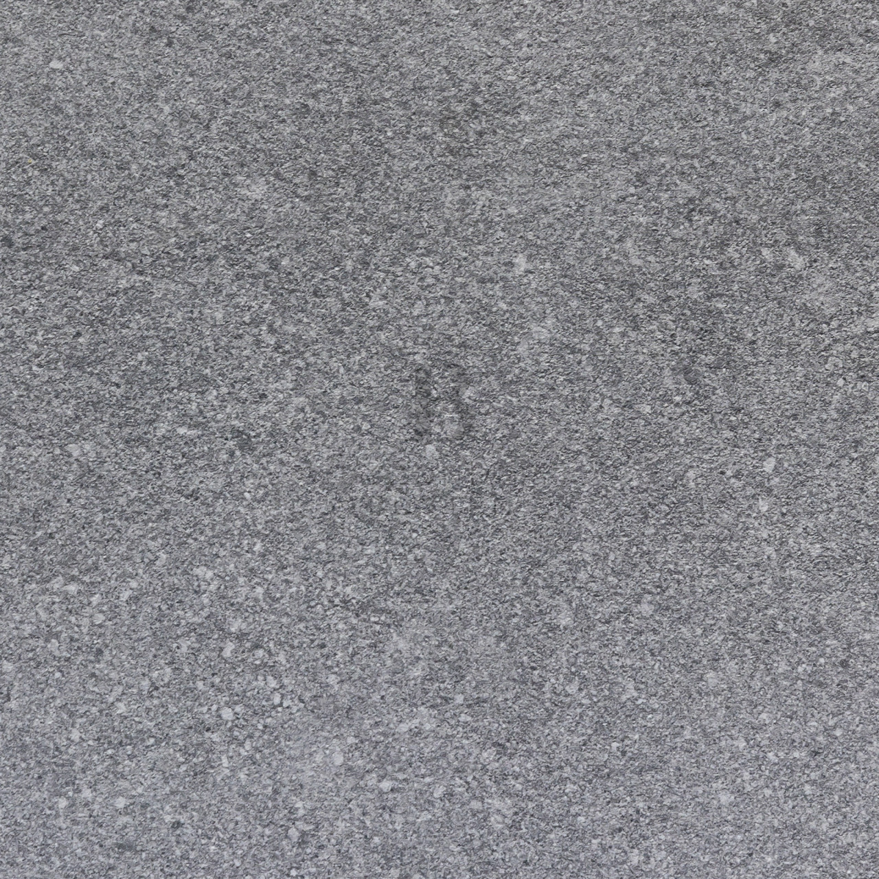 BB 20242 close up