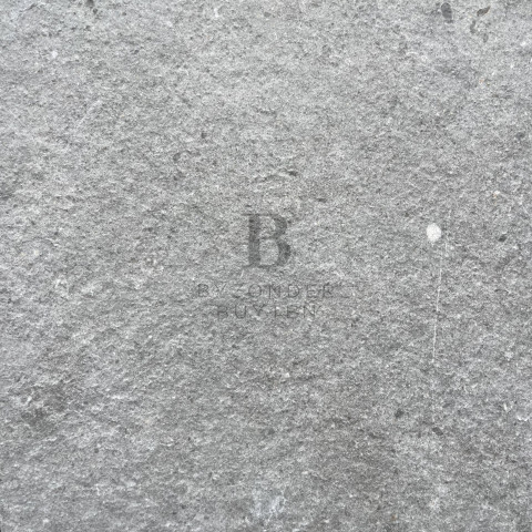 BB 20251 close up