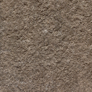 BB 30118 close up